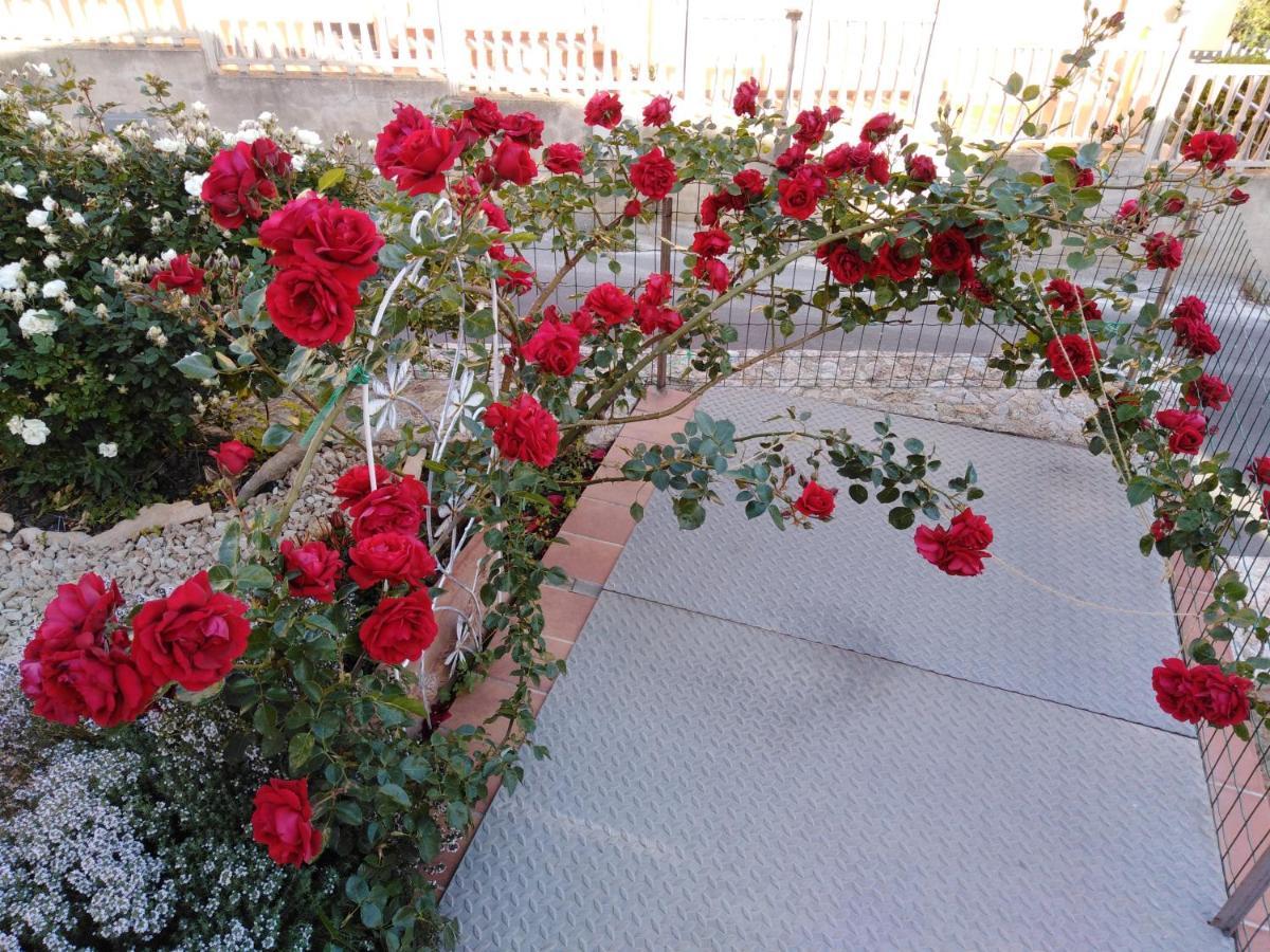 Bed and Breakfast The Roses Garden Ла-Маддалена Екстер'єр фото