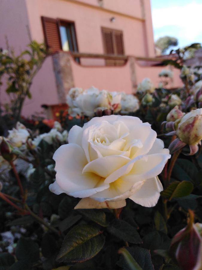 Bed and Breakfast The Roses Garden Ла-Маддалена Екстер'єр фото