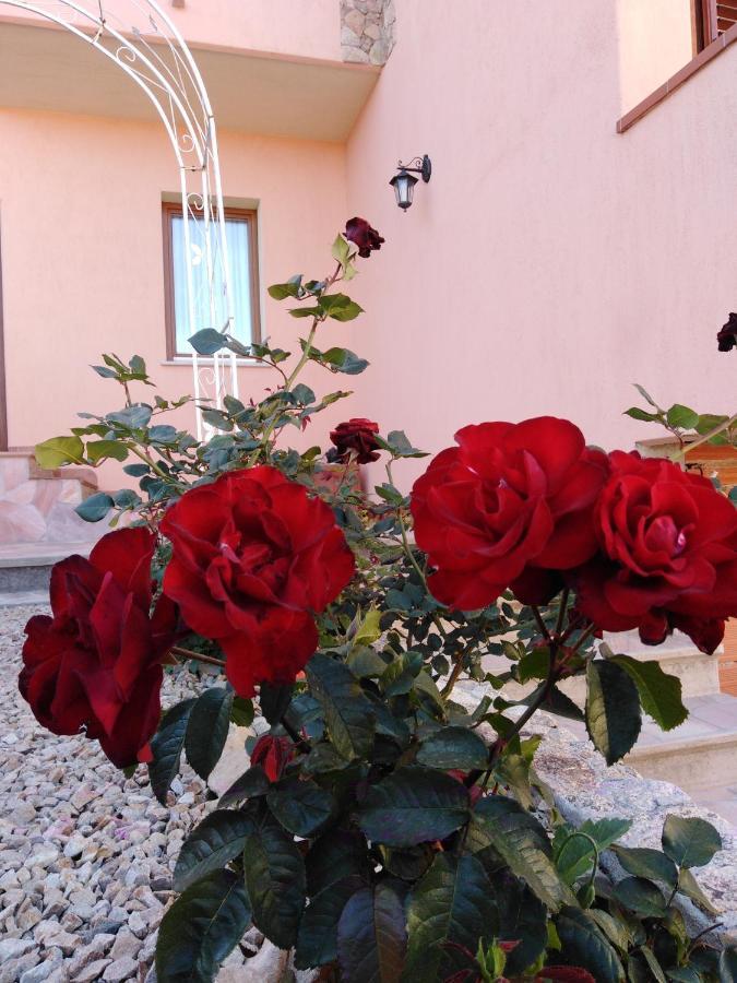 Bed and Breakfast The Roses Garden Ла-Маддалена Екстер'єр фото